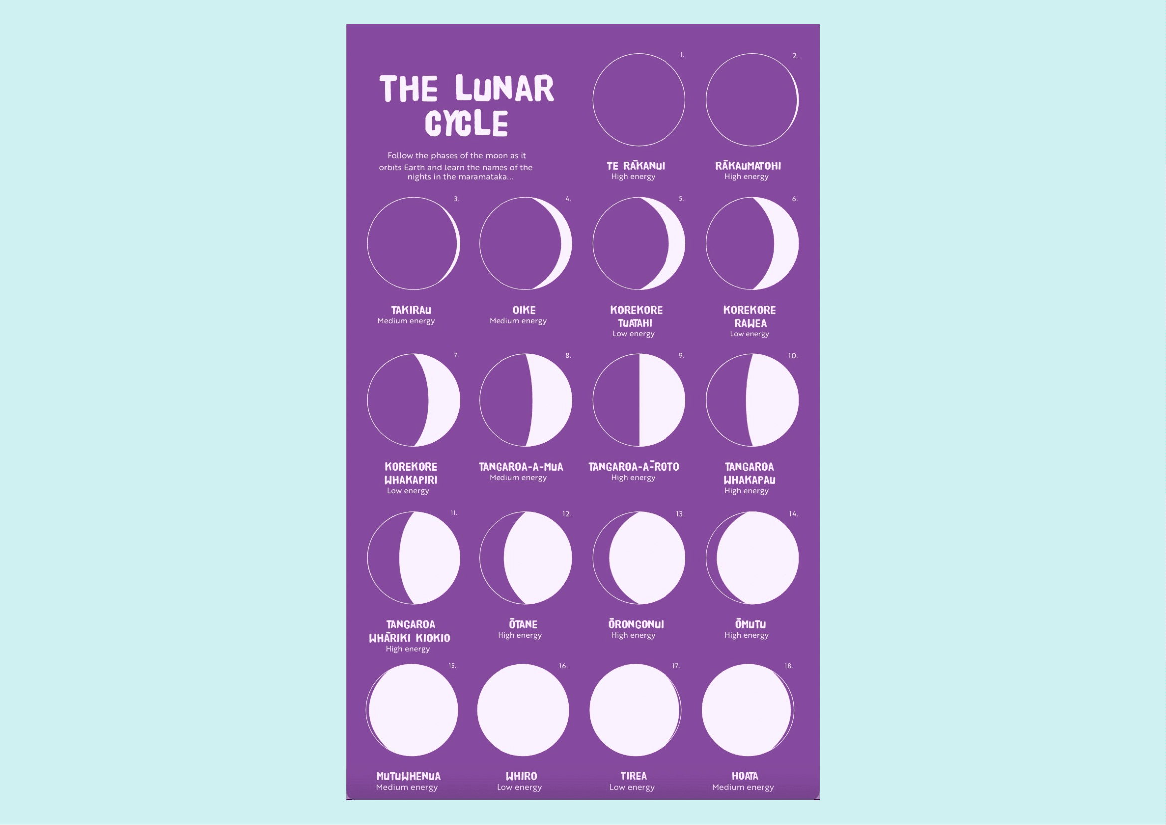 Grace Hickson-06.png