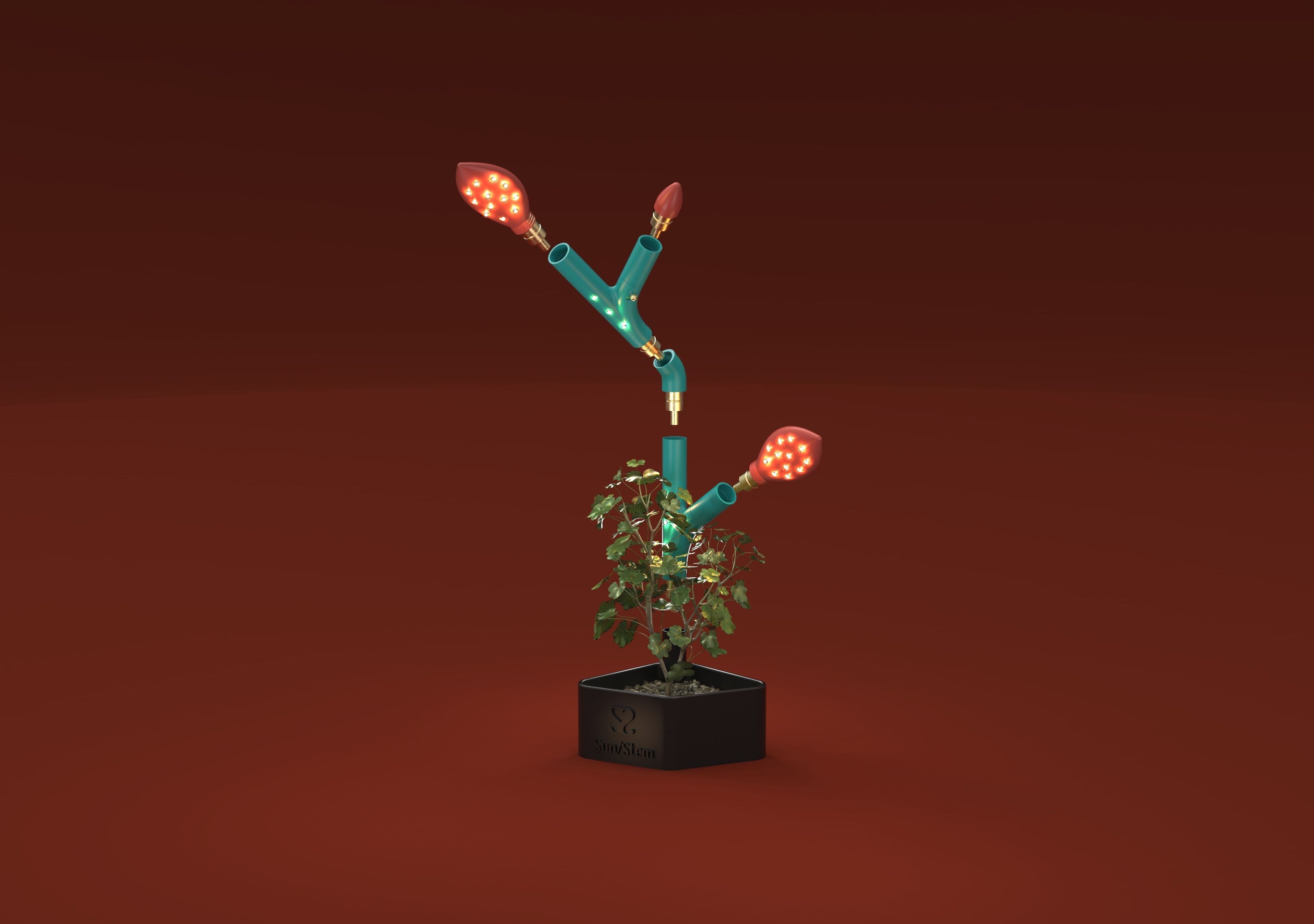 Pedro Martins B02.jpeg